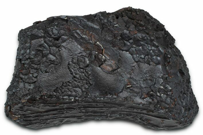 Dragon Scale Stone (Iron, Manganese, Siderite Nodule) #350220